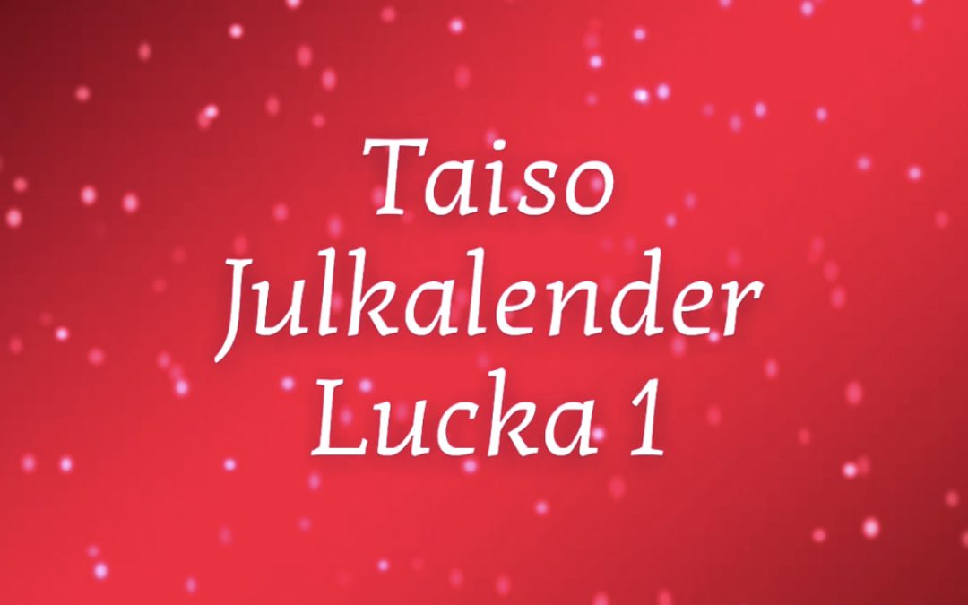 Missa inte vår JulKalender på Instagram